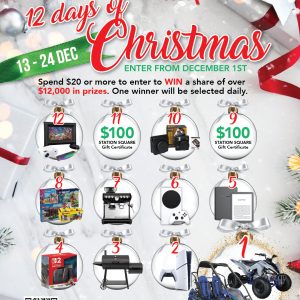 12 Days of Christmas