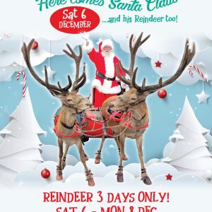 Santa’s Arrival to Station Square